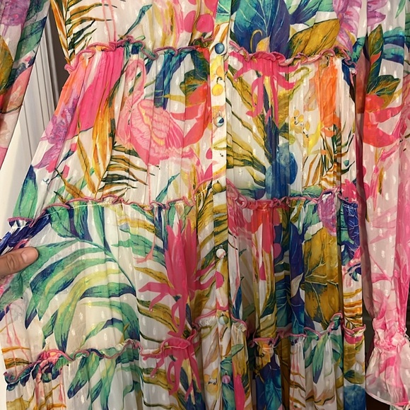 Rococo Sand Zazu Dress - Picture 8 of 9